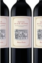 Soft Soil, Black Grapes: The Birth of Italian Winemaking in California